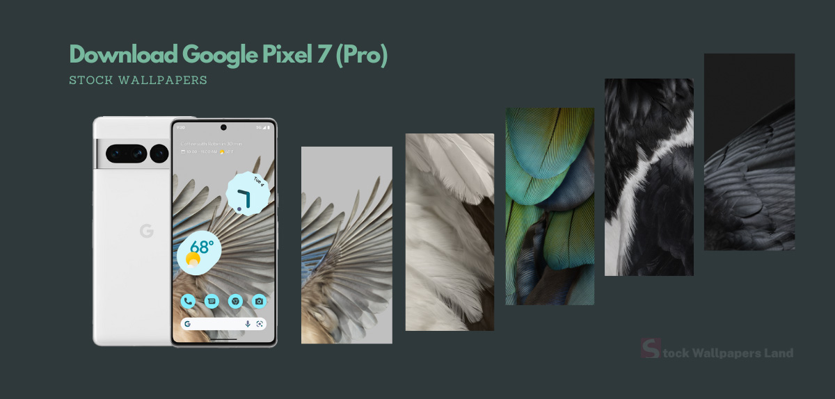 Download Pixel 7 Pro Wallpapers • ThemeFoxx