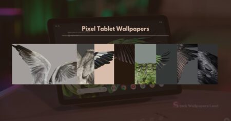 Download Google Pixel Tablet Wallpapers