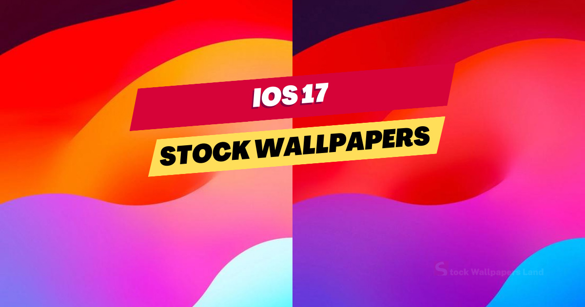 A new iOS 14 leak reveals New Wallpaper Settings and Home Screen Widgets -  Prime Inspiration