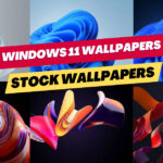 Download Windows 11 Wallpapers 4K