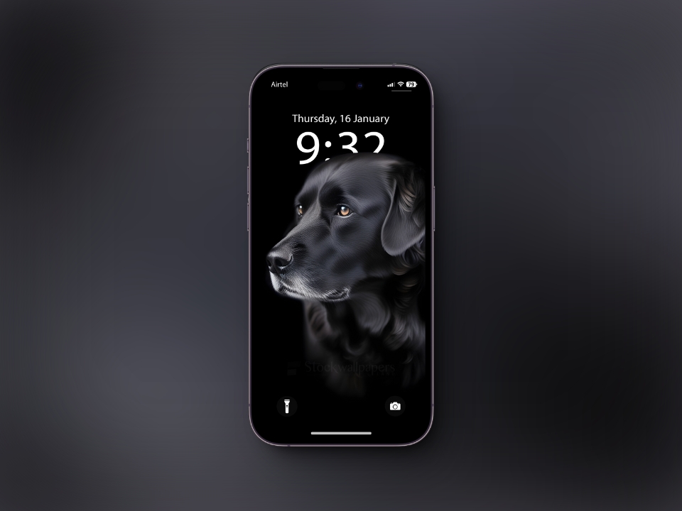 Black Dog Wallpaper for iPhone with a Depth Effect