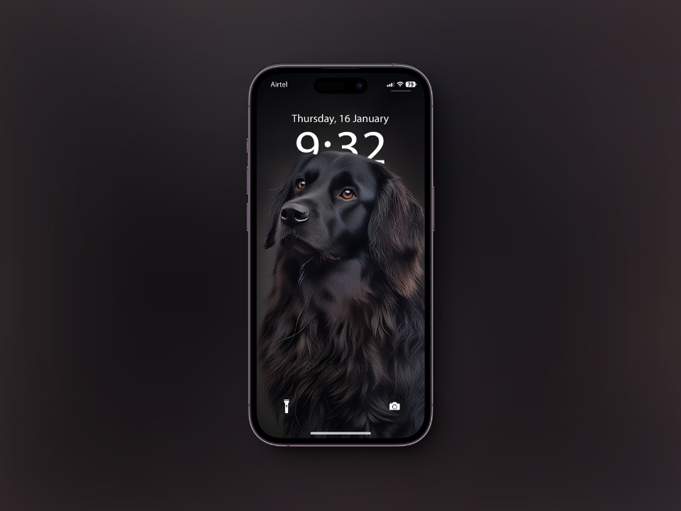 Black Dog Wallpaper for iPhone with a Depth Effect
