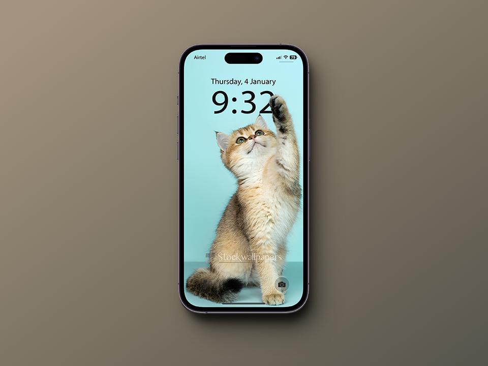 Cute Cat Wallpaper for iPhone with Depth Effect
