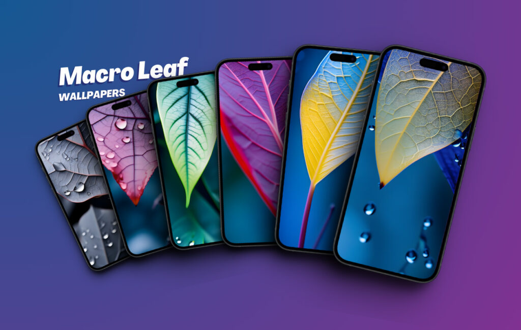 Macro Leaf Wallpapers for iPhone & Android