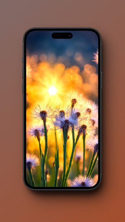 Dandelion Wallpapers for iPhone